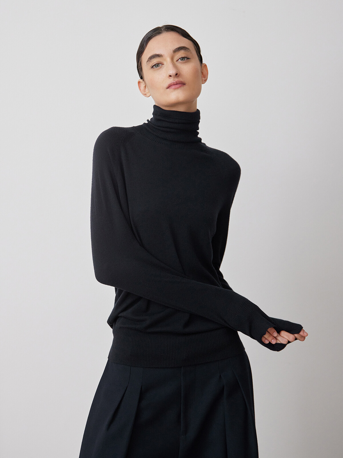 Vicuña roll-neck sweater Image