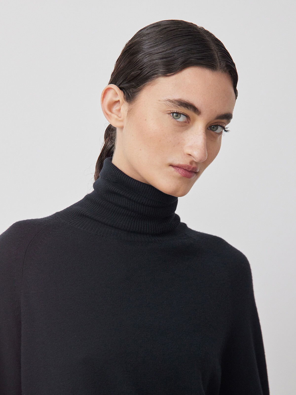 Vicuña roll-neck sweater Image