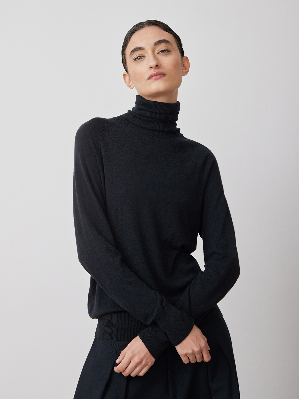 Vicuña roll-neck sweater Image