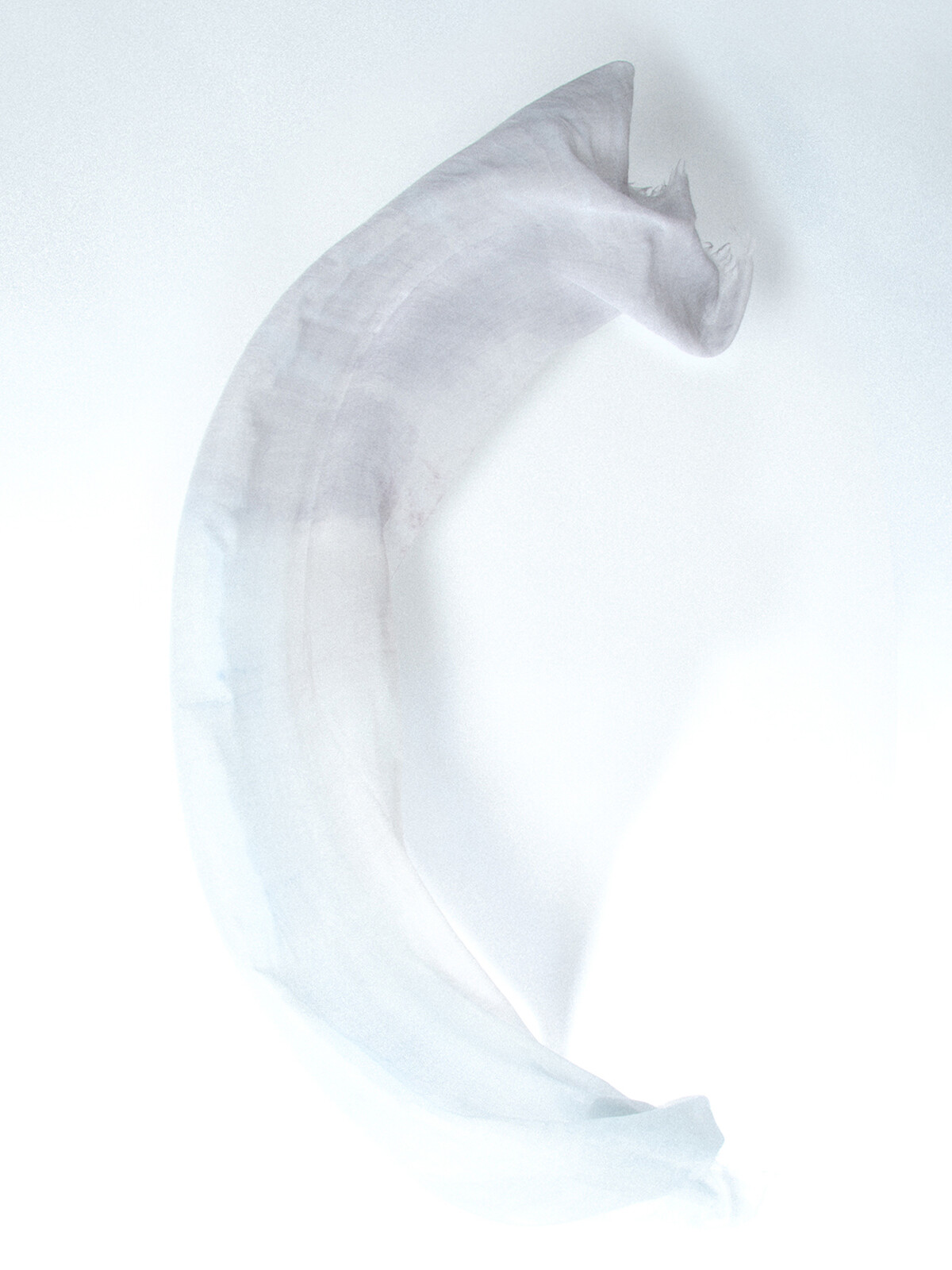 Handpainted scarf Image