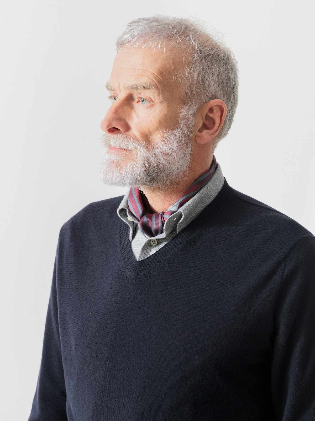Vicuña v-neck sweater Image