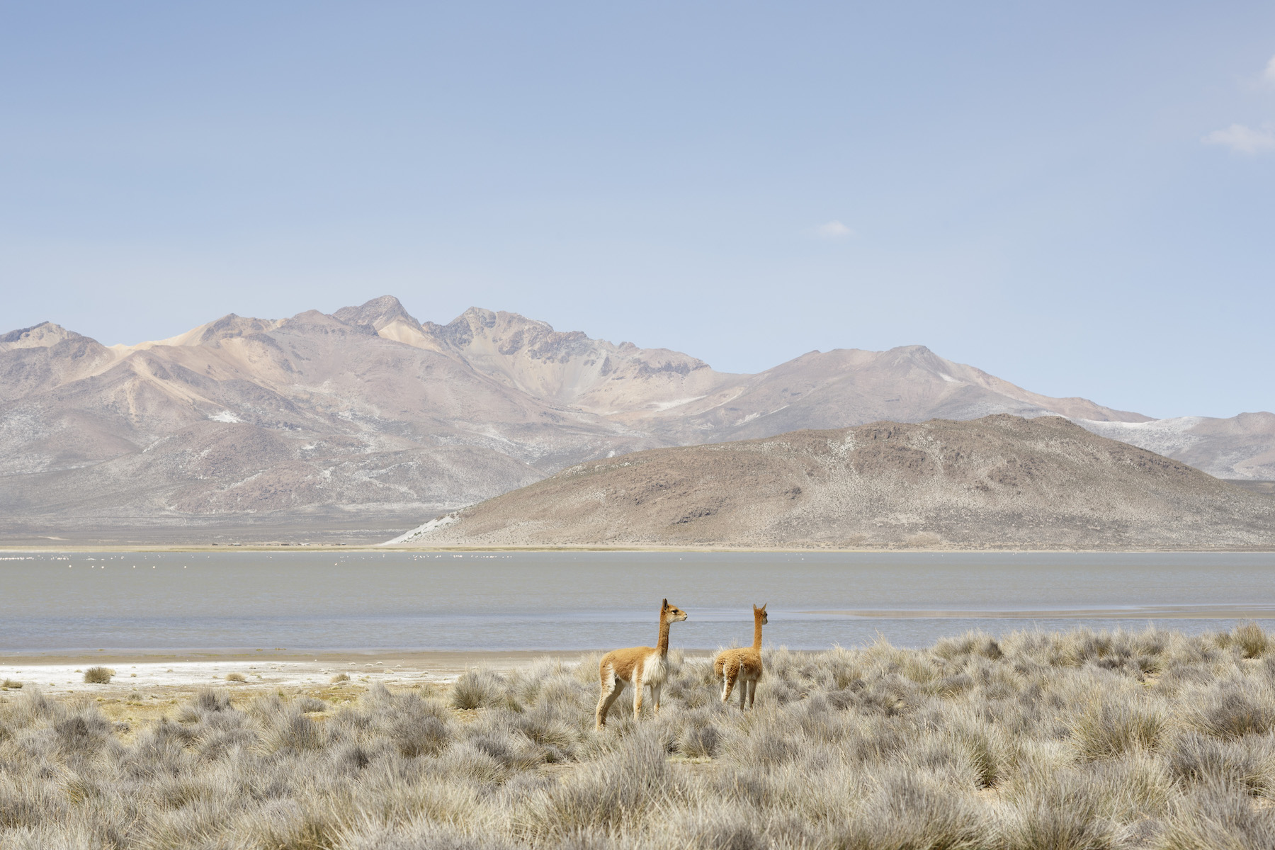 Peru: a love storu