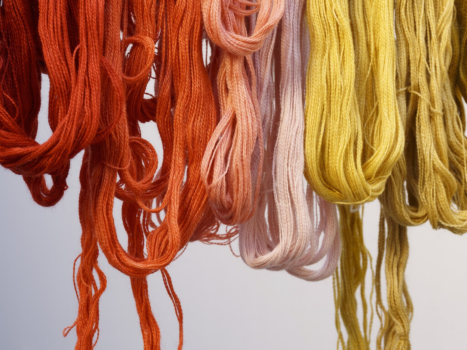 Why Vicuña Wool Is So Expensive: The Rarest Luxury
